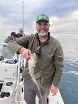 Fishing in Long Beach, California
