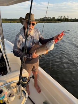 Fishing in Bon Secour, Alabama