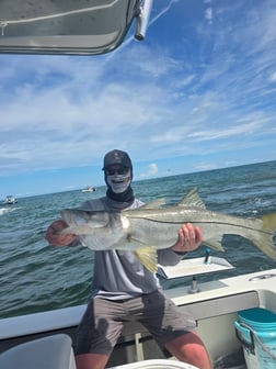 Fishing in New Smyrna Beach, Florida