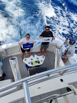 Blue Marlin Fishing in Punta Cana, Dominican Republic