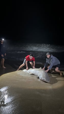 Fishing in New Smyrna Beach, Florida