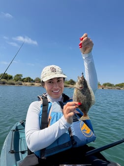 Fishing in San Diego, California
