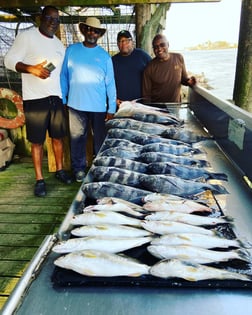 Black Drum, Speckled Trout / Spotted Seatrout Fishing in Surfside Beach, Texas