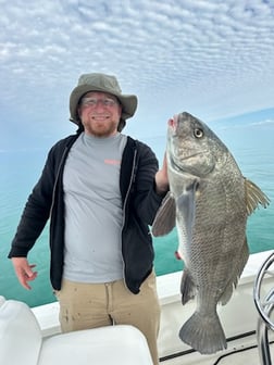 Fishing in Naples, Florida