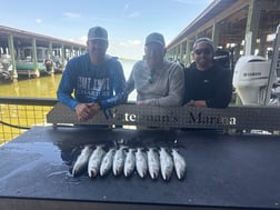 Fishing in Galveston, Texas