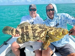 Fishing in Tavernier, Florida