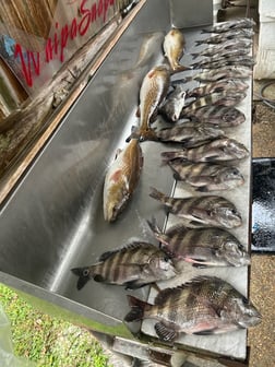 Fishing in D'Iberville, Mississippi
