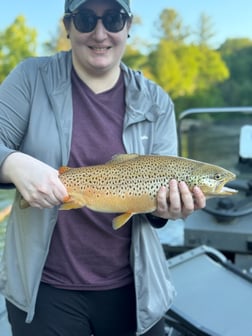 Fishing in Harrietta, Michigan