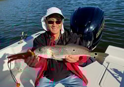 Fishing in St. Petersburg, Florida