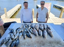 Fishing in Lafitte, Louisiana