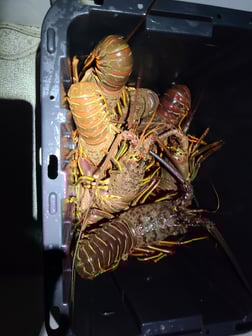 Fishing in Long Beach, California