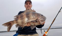 Sheepshead Fishing in