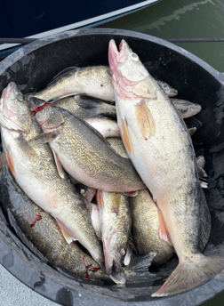 Fishing in Indianapolis, Indiana