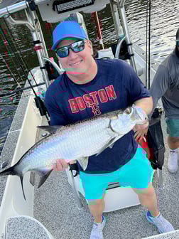 Tarpon Fishing in Holmes Beach, Florida