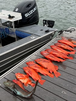 Fishing in Ventura, California
