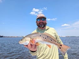 Fishing in Jacksonville, Florida