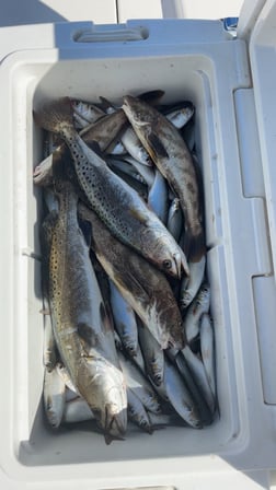 Fishing in Hilton Head Island, South Carolina