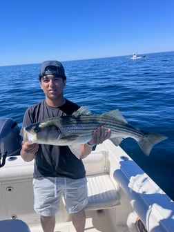 Fishing in Dennis, Massachusetts