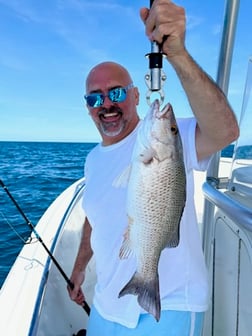 Fishing in Tarpon Springs, Florida