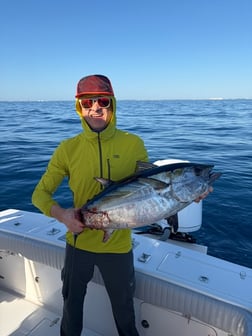 Fishing in Jupiter, Florida