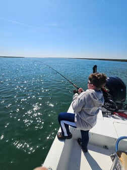 Fishing in Hampstead, North Carolina