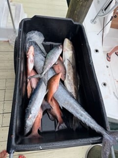 Fishing in Fort Pierce, Florida
