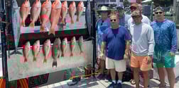 Gag Grouper, Red Snapper, Scup, Wahoo Fishing in Destin, Florida