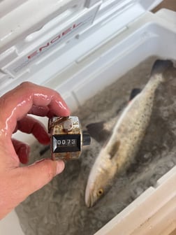 Fishing in Hilton Head Island, South Carolina