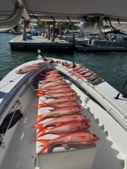 Fishing in Placida, Florida