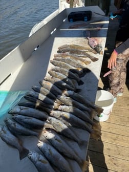 Fishing in Gulf Shores, Alabama