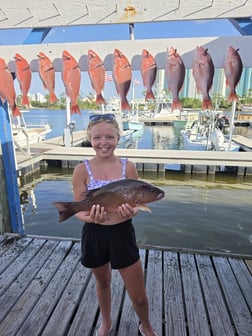 Fishing in Orange Beach, Alabama