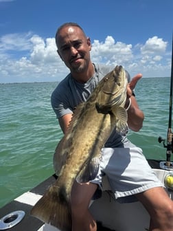Fishing in St. Petersburg, Florida