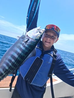 Fishing in Dana Point, California