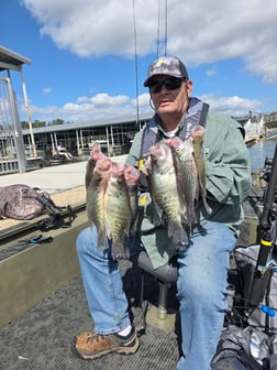 Fishing in Harrison, Tennessee