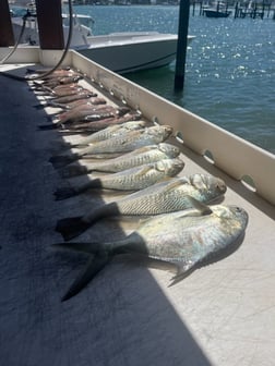 Fishing in Jupiter, Florida
