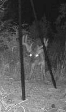 Hunting in Crestview, Florida