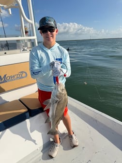 Fishing in Port O'Connor, Texas