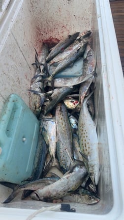 Fishing in Norfolk, Virginia