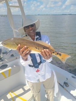 Fishing in Melbourne, Florida