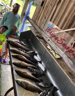 Fishing in D'Iberville, Mississippi