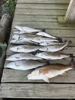 Fishing in Theodore, Alabama