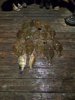 Fishing in Fort Walton Beach, Florida