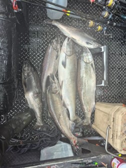 Fishing in Kalama, Washington