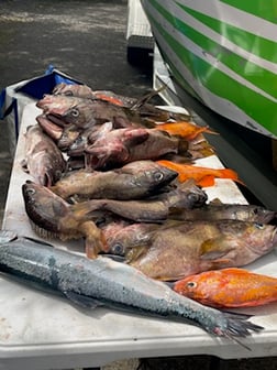 Fishing in Garibaldi, Oregon