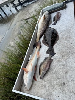 Fishing in Jacksonville, Florida