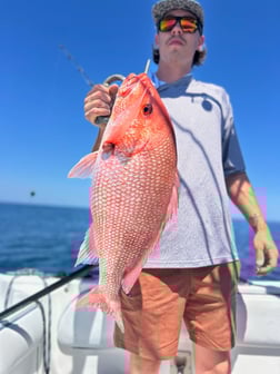 Fishing in Port Orange, Florida