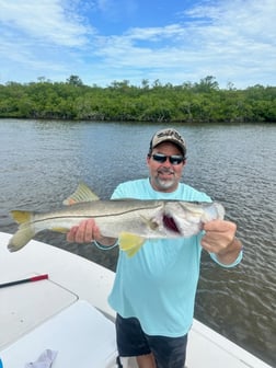 Fishing in Homestead, Florida