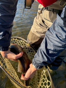 Fishing in Broken Bow, Oklahoma