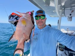 Fishing in Holmes Beach, Florida