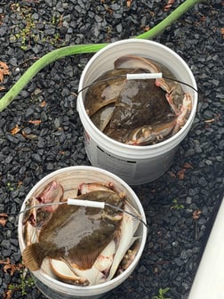Fishing in Dennis, Massachusetts
